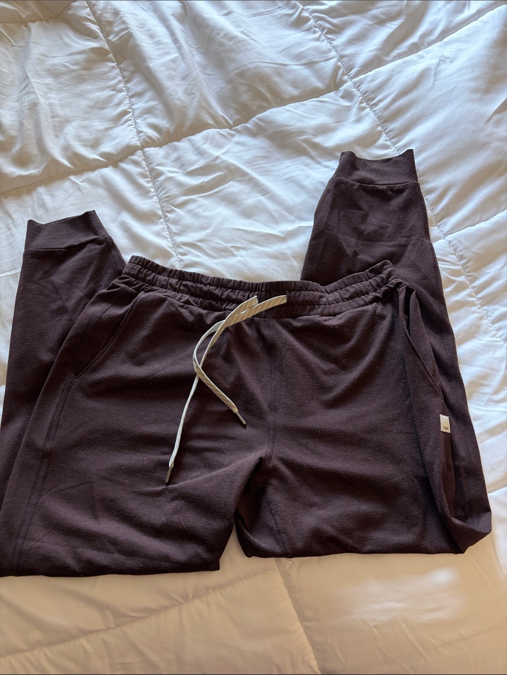 Aritzia Brown Drawstring Jogger Pants